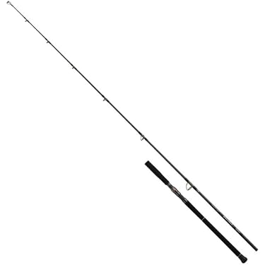 Amazon | ダイワ(DAIWA) オフショアキャスティングロッド SALTIGA C